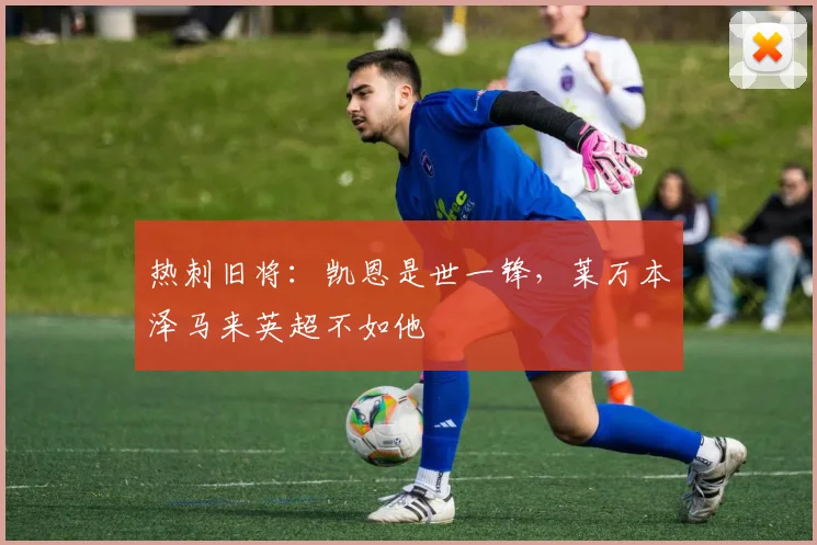 热刺旧将：凯恩是世一锋，莱万本泽马来英超不如他