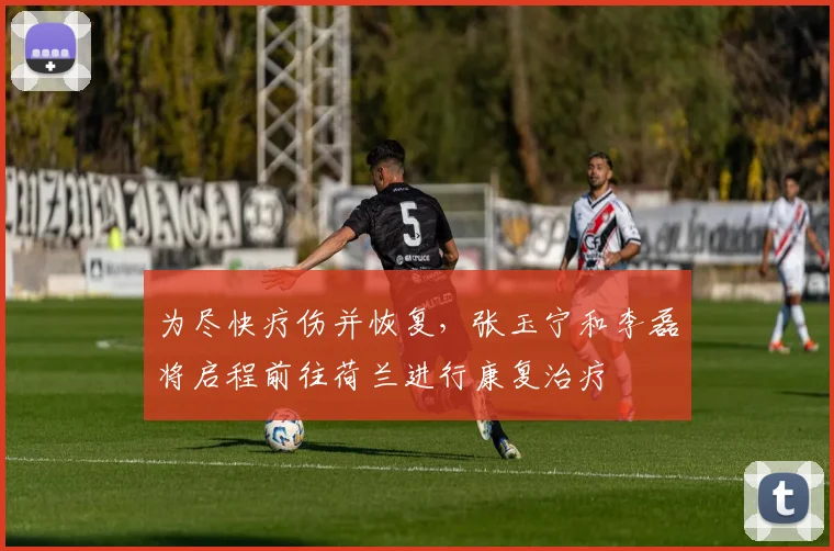 为尽快疗伤并恢复，张玉宁和李磊将启程前往荷兰进行康复治疗